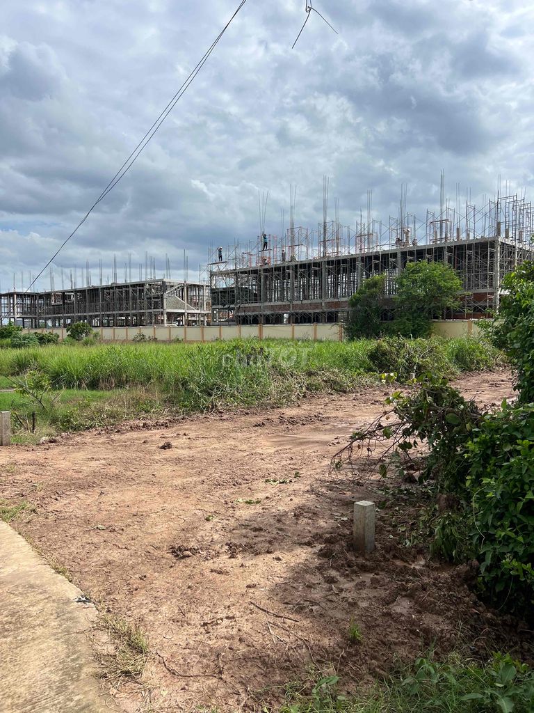 4330551 ảnh đại diện 1