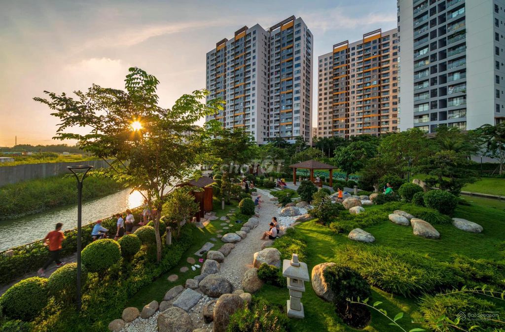 4331218 ảnh đại diện 1