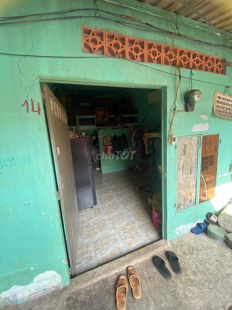 4330463 ảnh đại diện 2