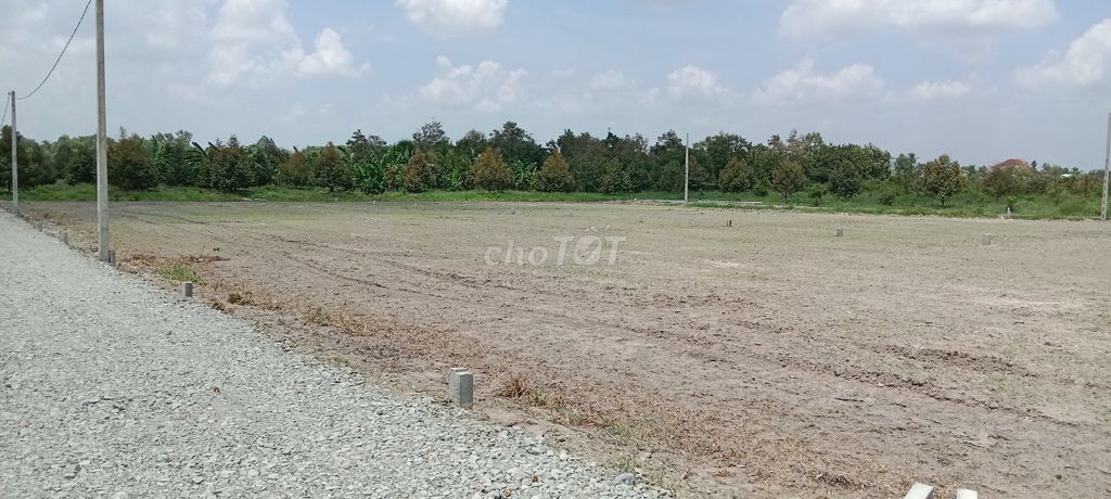 4329131 ảnh đại diện 1
