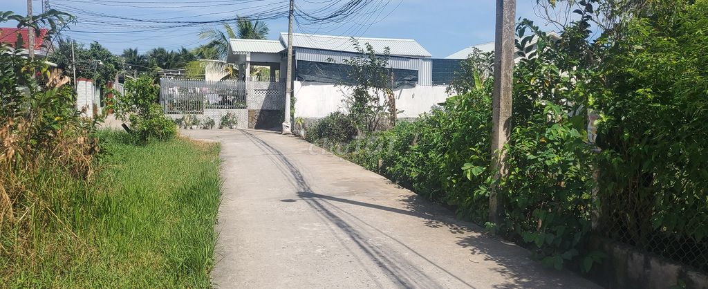 4328905 ảnh đại diện 1