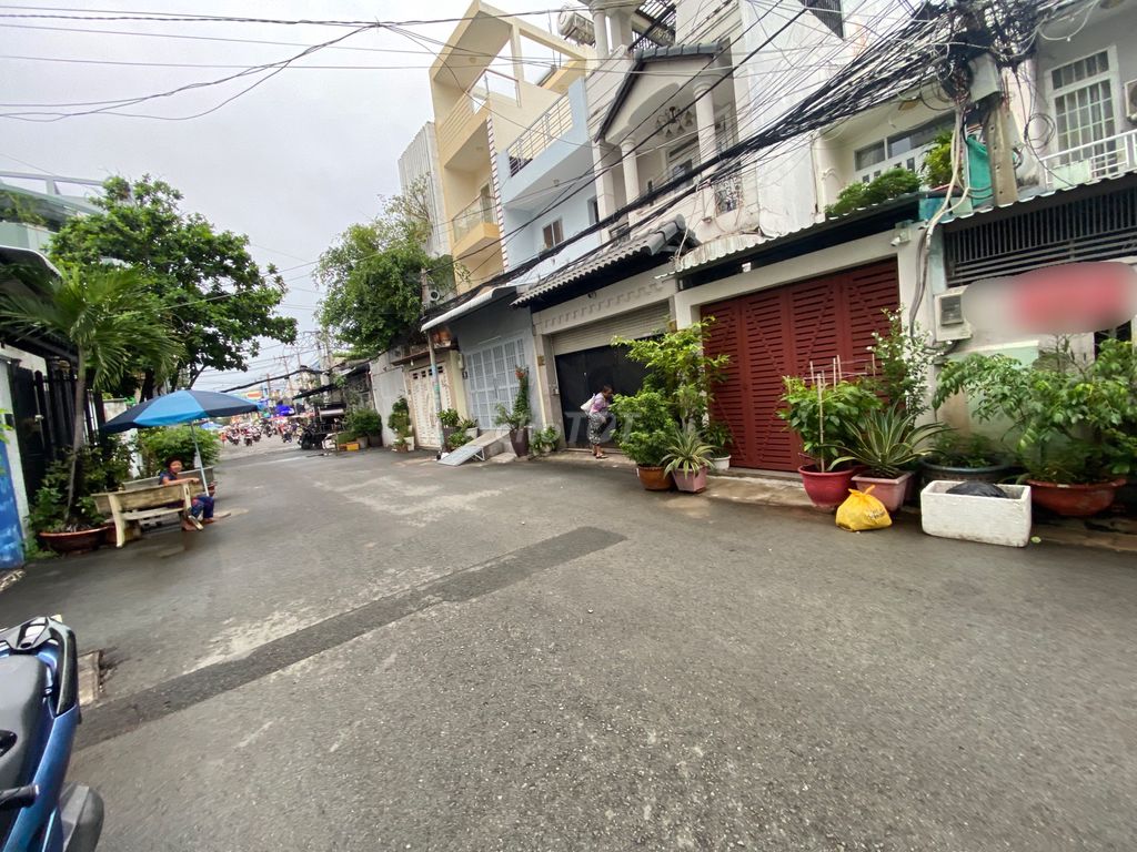 4330453 ảnh đại diện 2