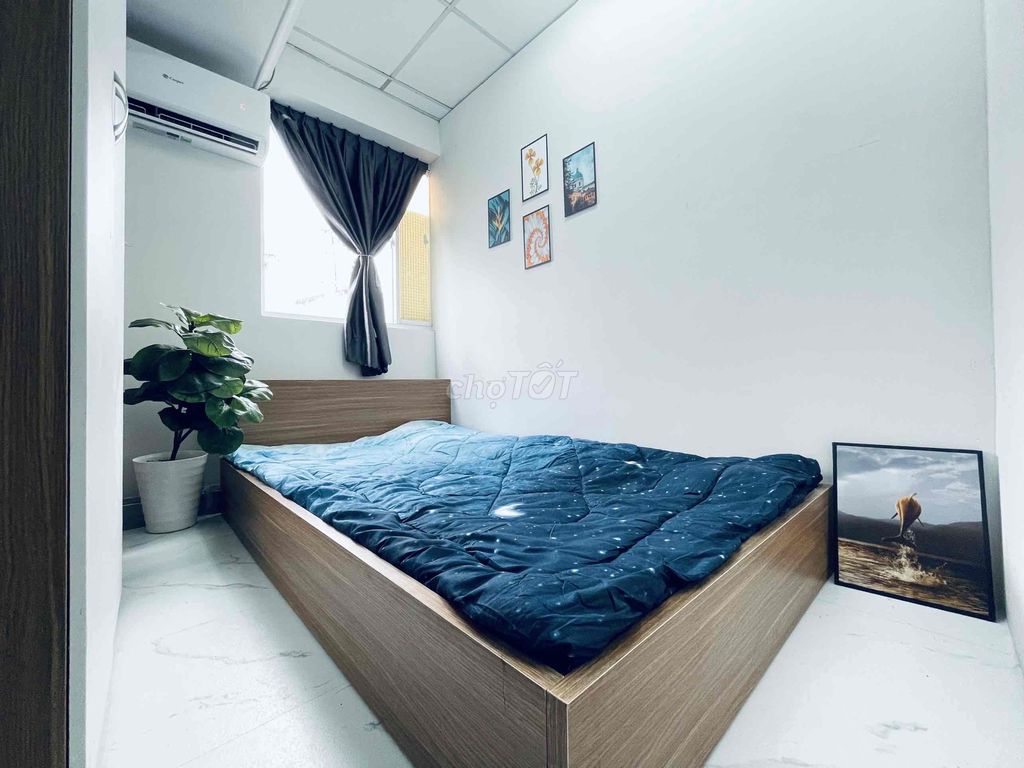 4334341 ảnh đại diện 2