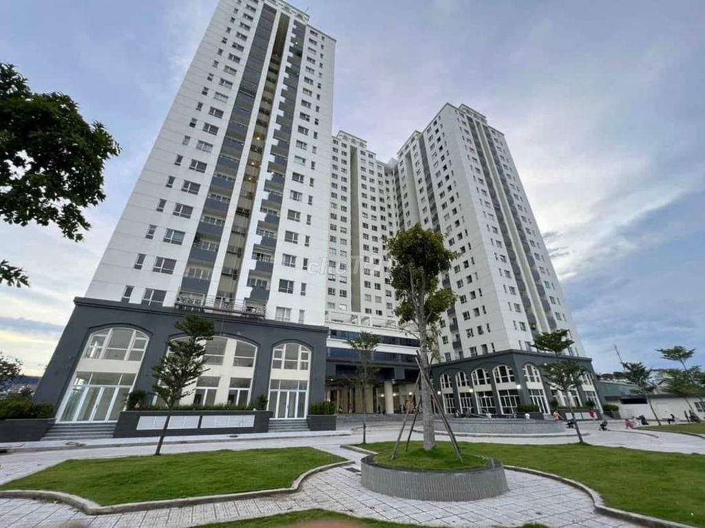 4328311 ảnh đại diện 1
