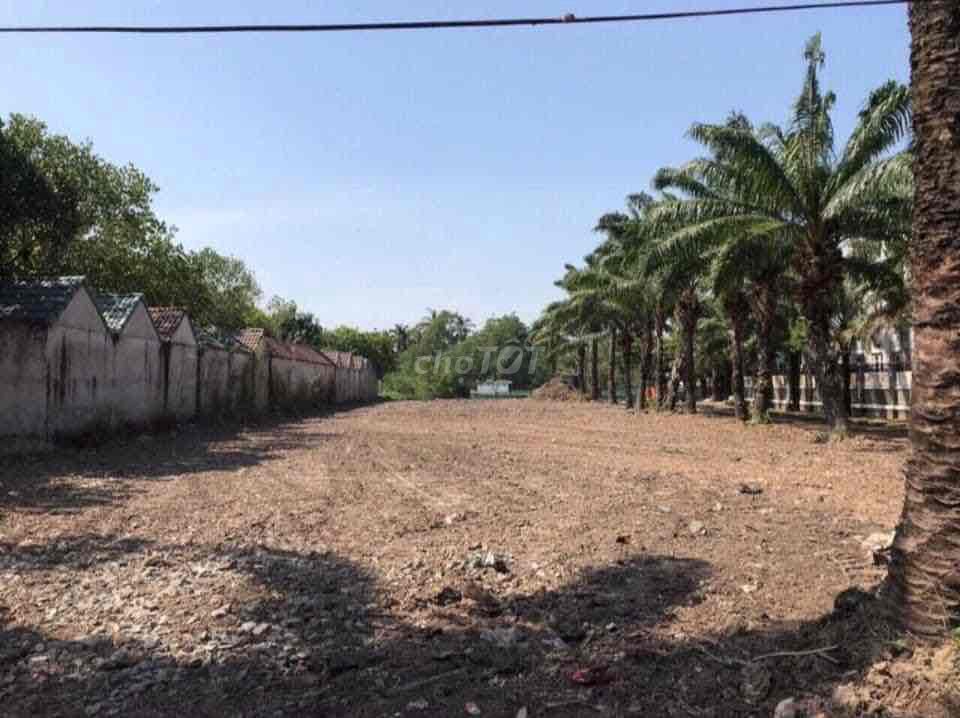 4328163 ảnh đại diện 2