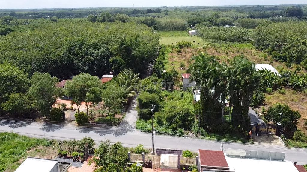 4329319 ảnh đại diện 1