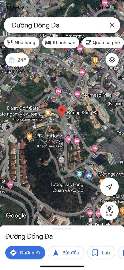 4331291 ảnh đại diện 2