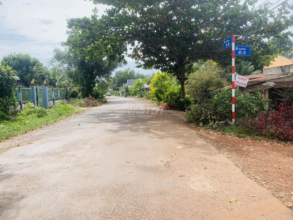 4328062 ảnh đại diện 1