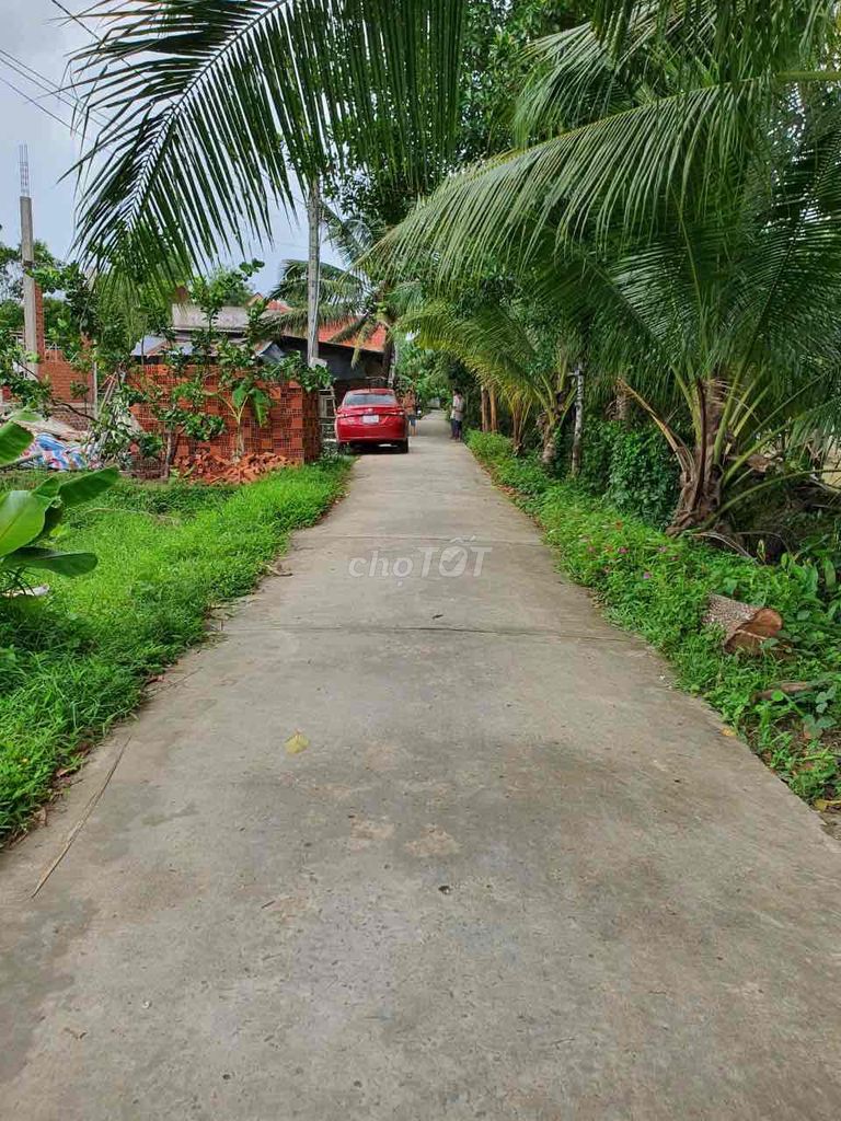 4327732 ảnh đại diện 1