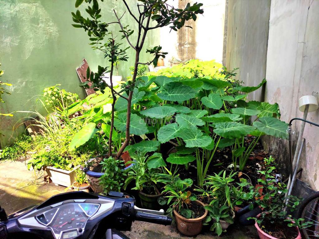 4332333 ảnh đại diện 1