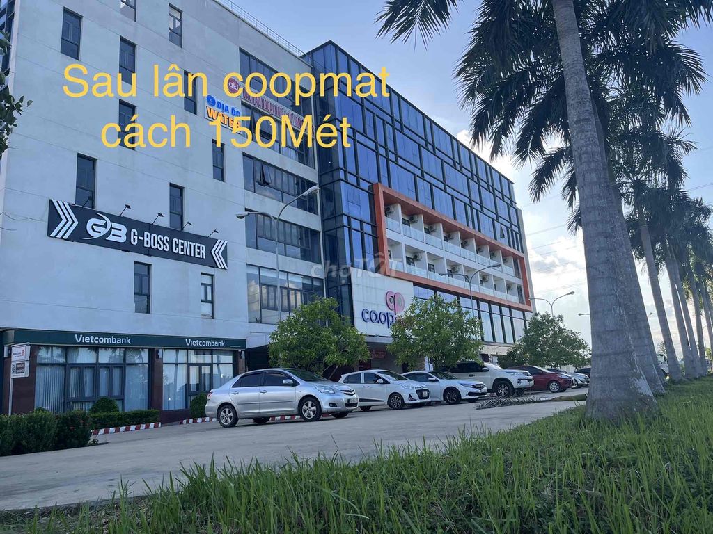 4330578 ảnh đại diện 1
