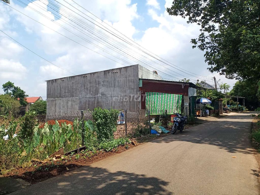 4328720 ảnh đại diện 1
