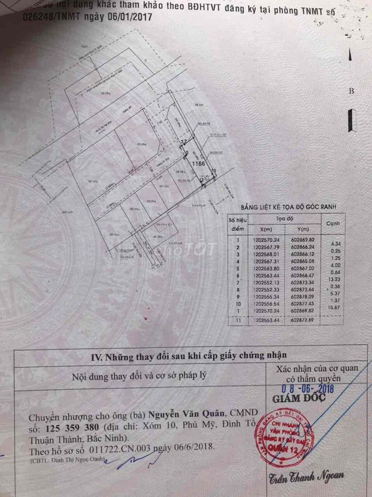 4333472 ảnh đại diện 1