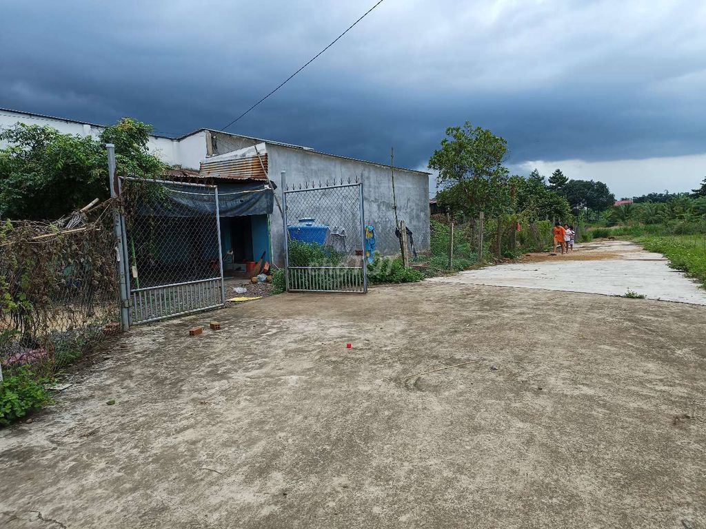 4330381 ảnh đại diện 1