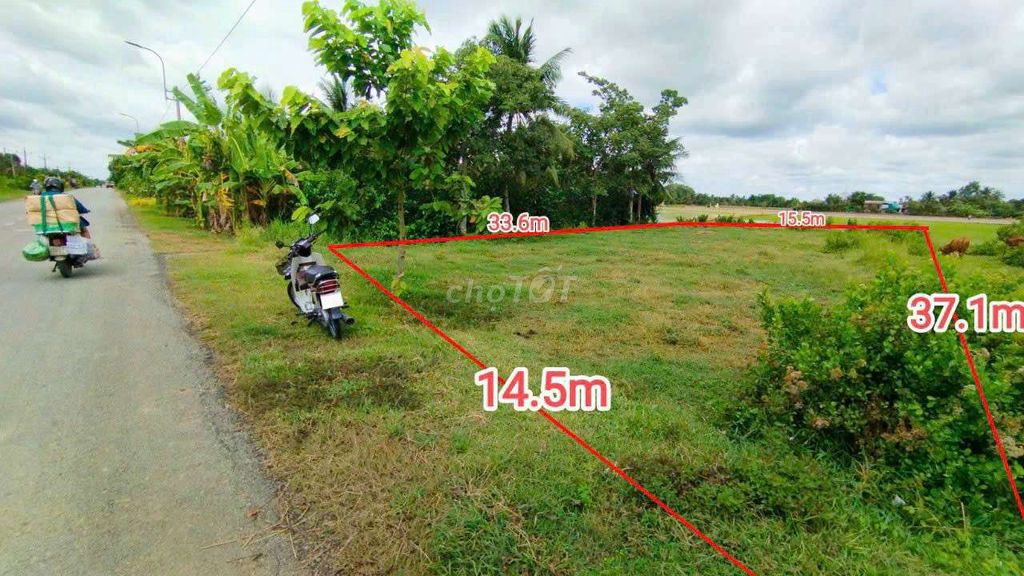 4329936 ảnh đại diện 1