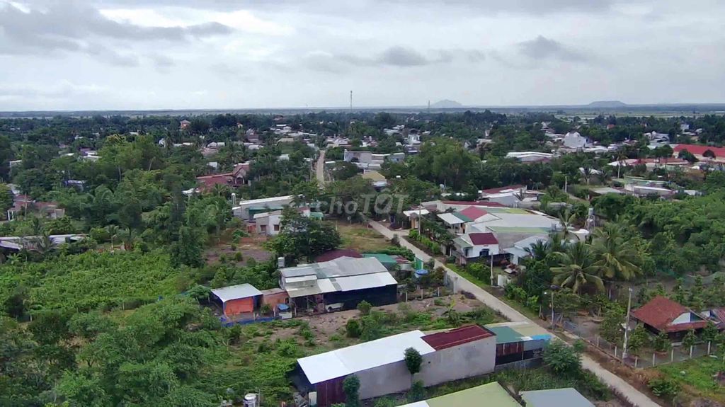 4330545 ảnh đại diện 2