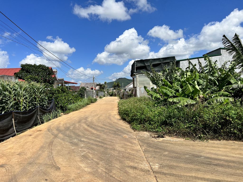 4329714 ảnh đại diện 2