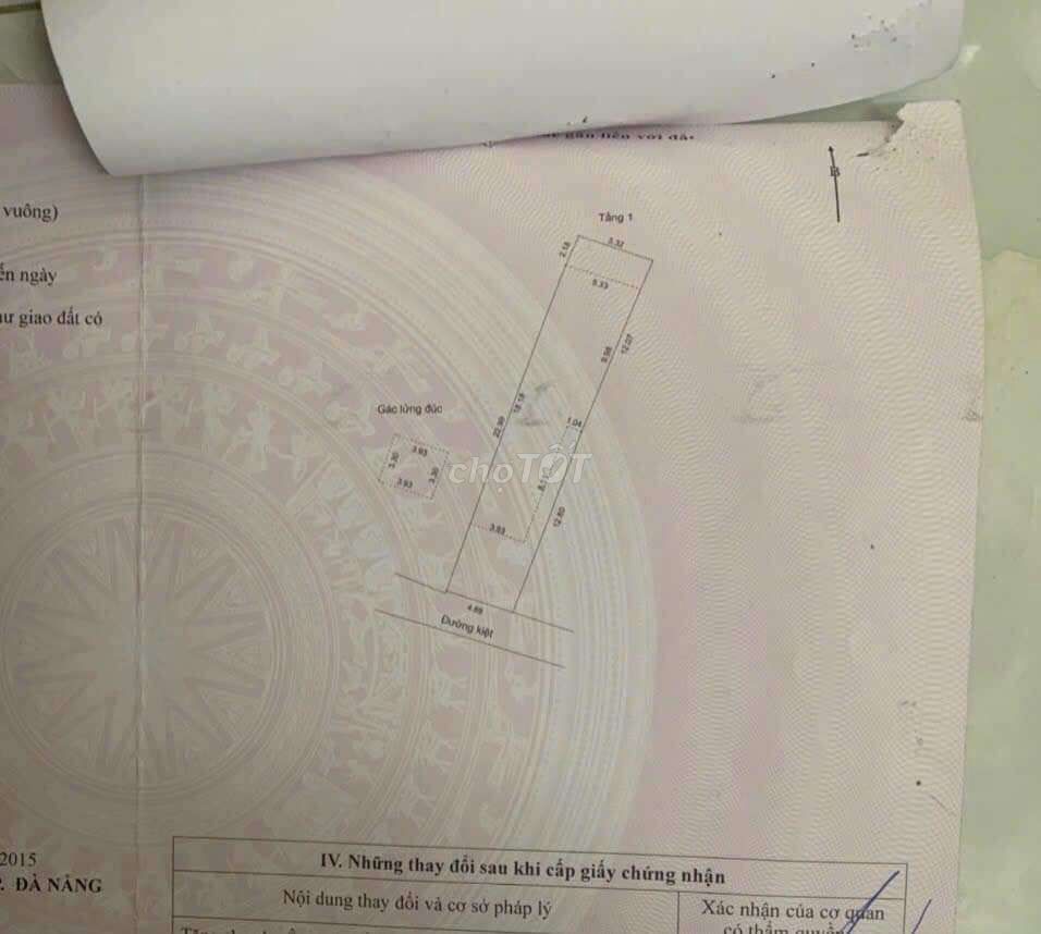 4328202 ảnh đại diện 2