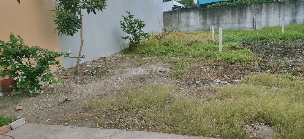 4330101 ảnh đại diện 1
