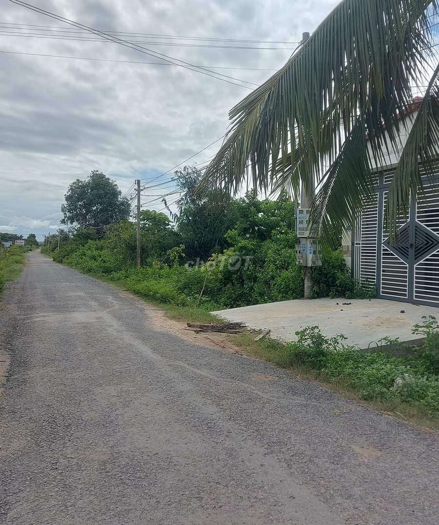 4327499 ảnh đại diện 1