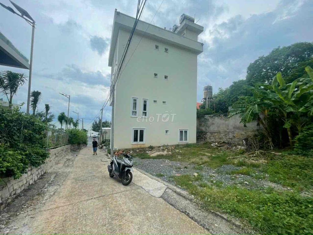 4329969 ảnh đại diện 2