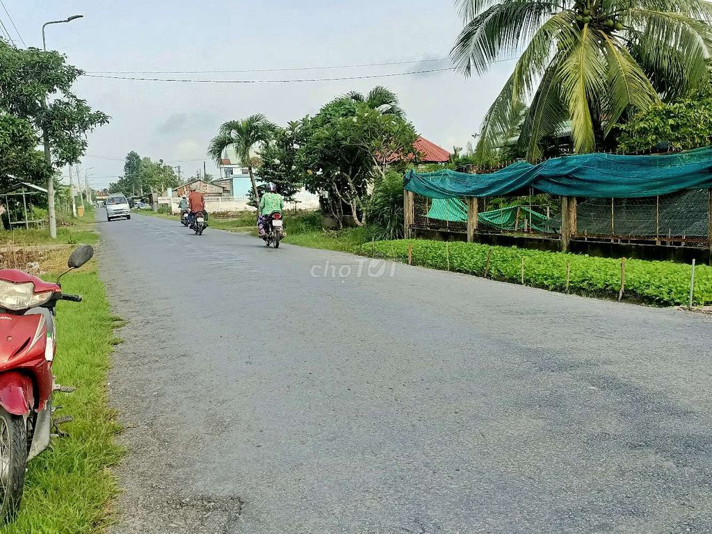 4329507 ảnh đại diện 1