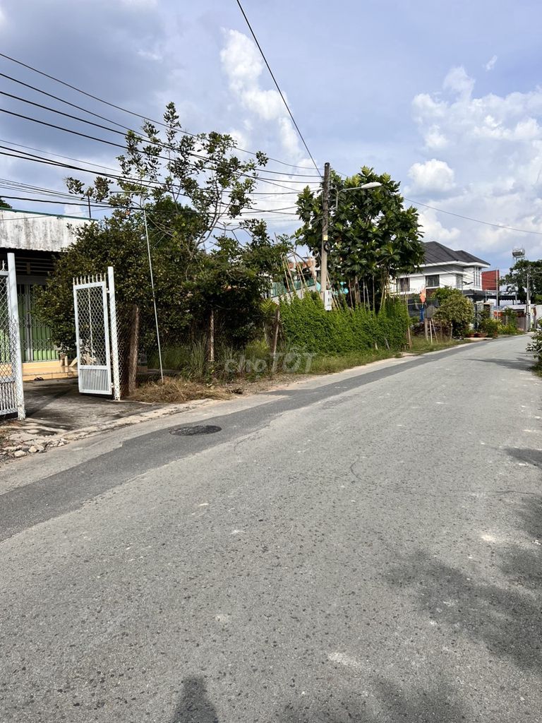 4328747 ảnh đại diện 2