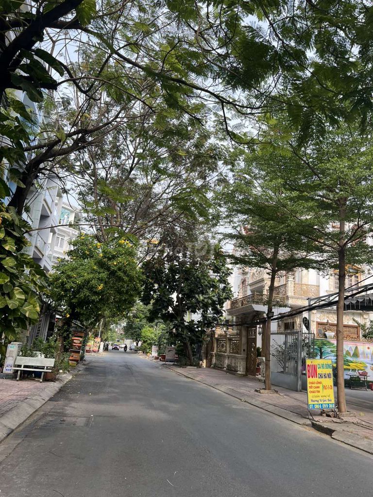 4334487 ảnh đại diện 1