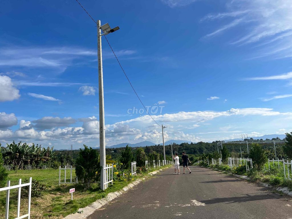 4328941 ảnh đại diện 1