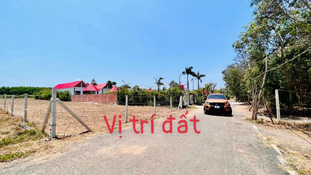 4330557 ảnh đại diện 2