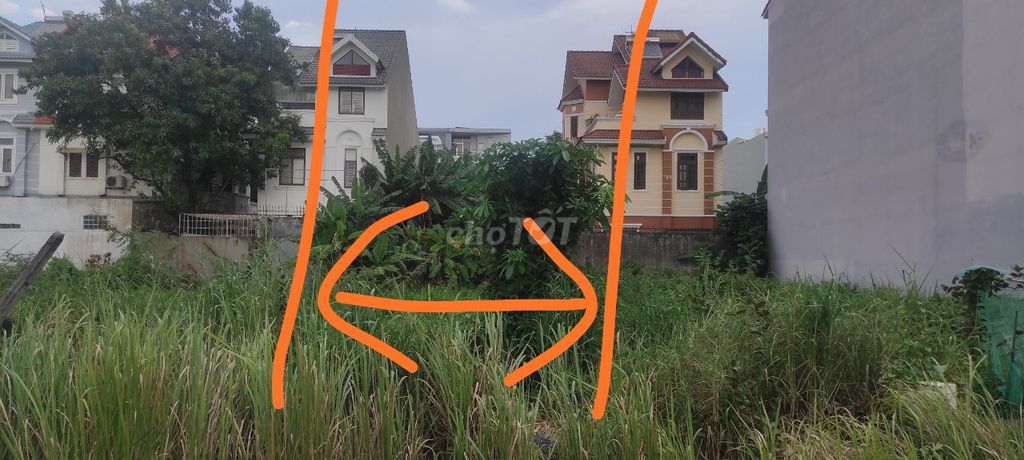 4328378 ảnh đại diện 2