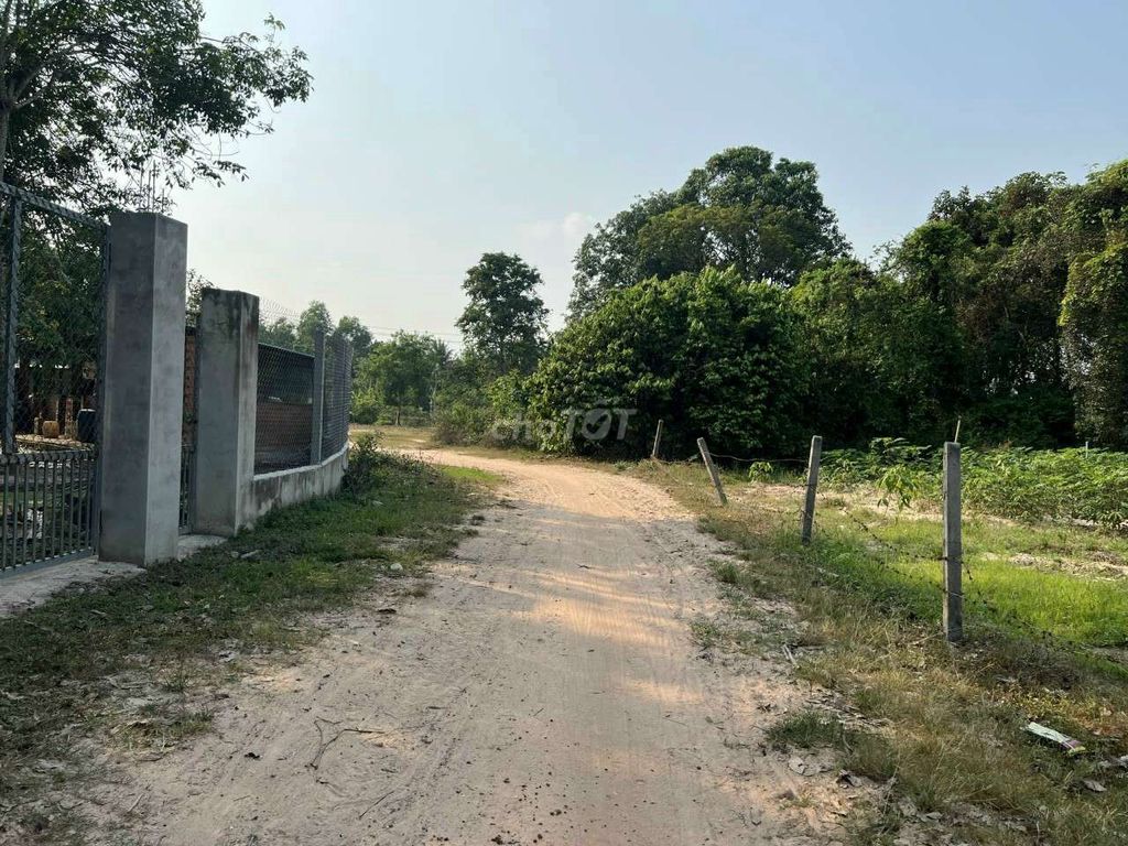 4329741 ảnh đại diện 1
