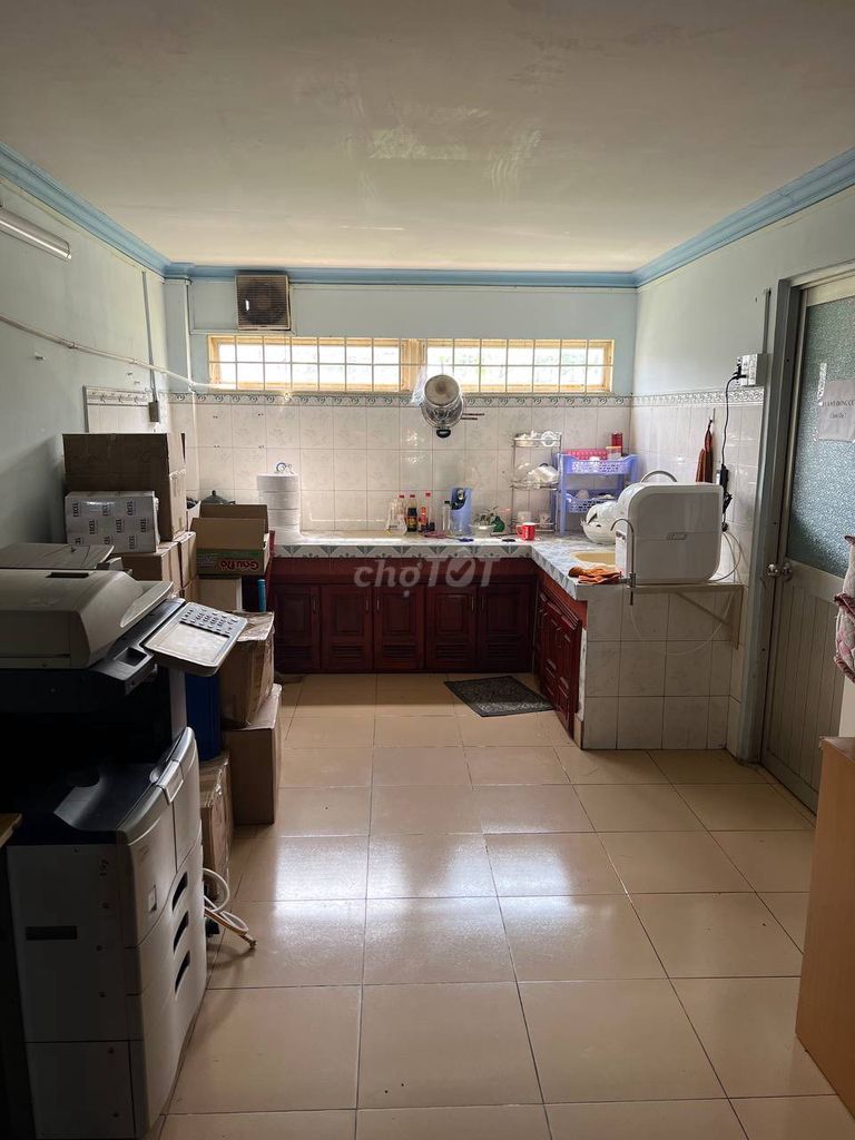 4331241 ảnh đại diện 1