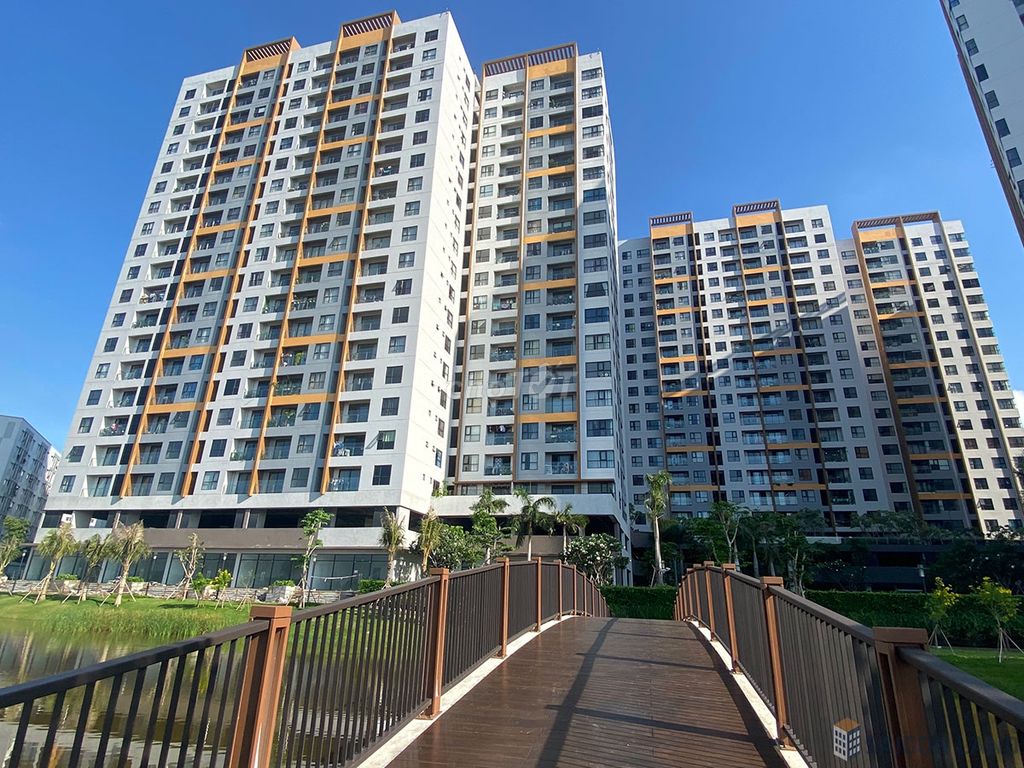 4331218 ảnh đại diện 2