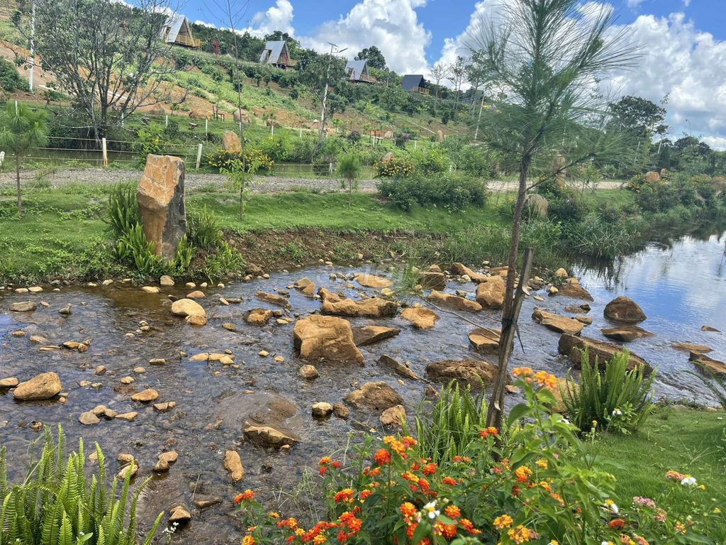 4328253 ảnh đại diện 2