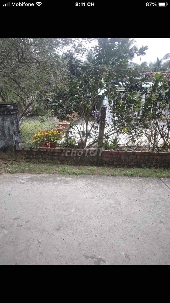 4328439 ảnh đại diện 2