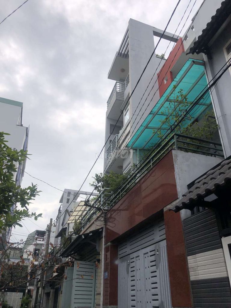 4328441 ảnh đại diện 1