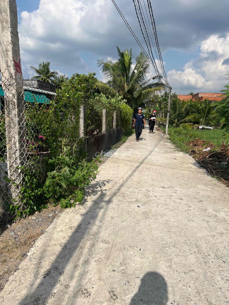 4334391 ảnh đại diện 2
