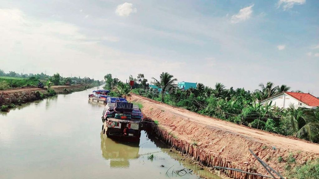 4330559 ảnh đại diện 1