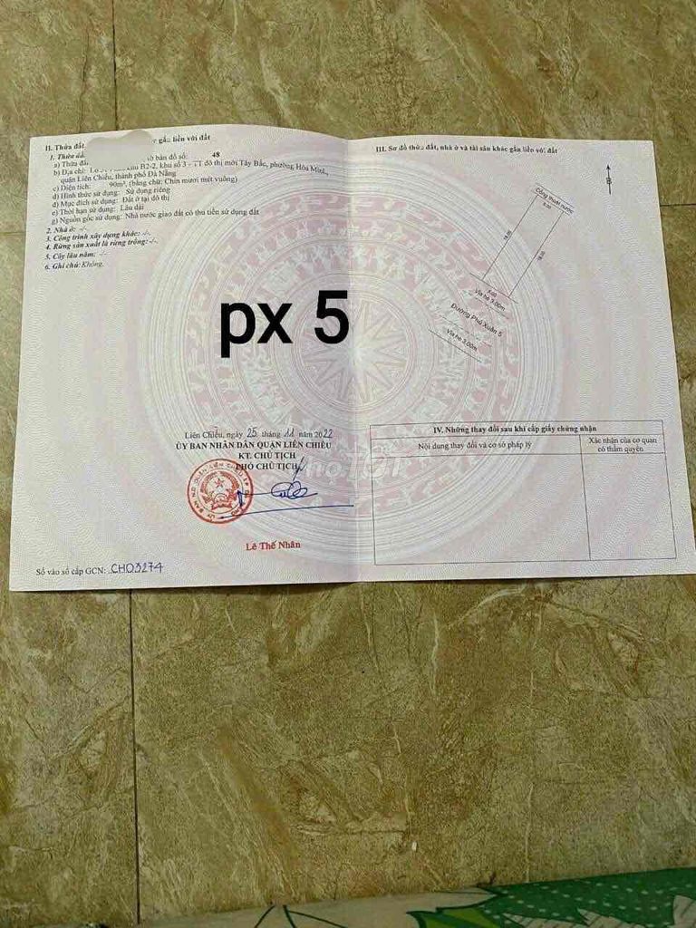 4334117 ảnh đại diện 2