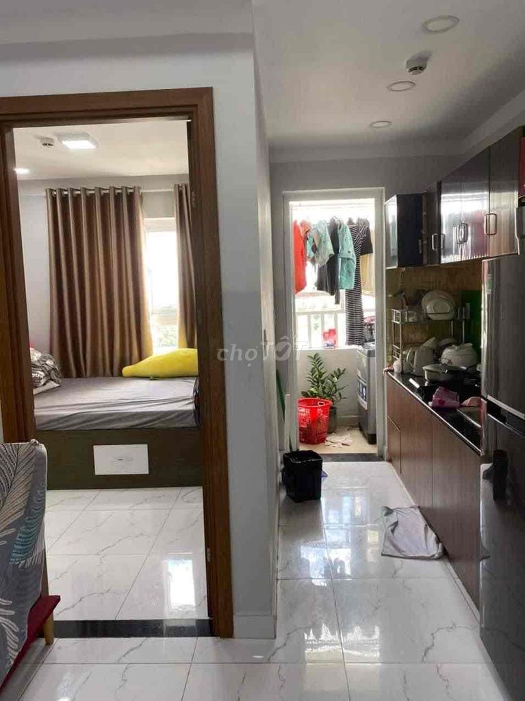 4331738 ảnh đại diện 1