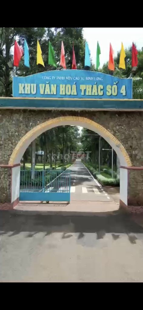4329887 ảnh đại diện 1