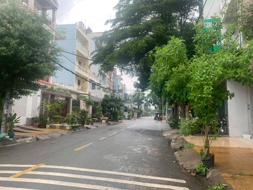 4330491 ảnh đại diện 1