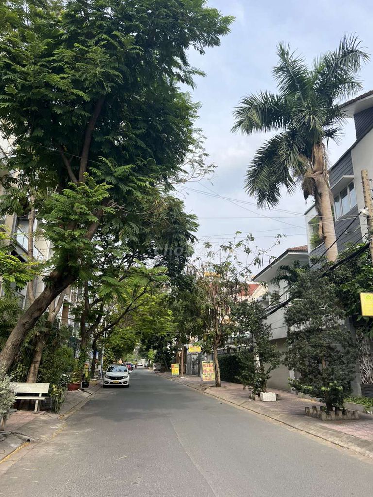 4334487 ảnh đại diện 2