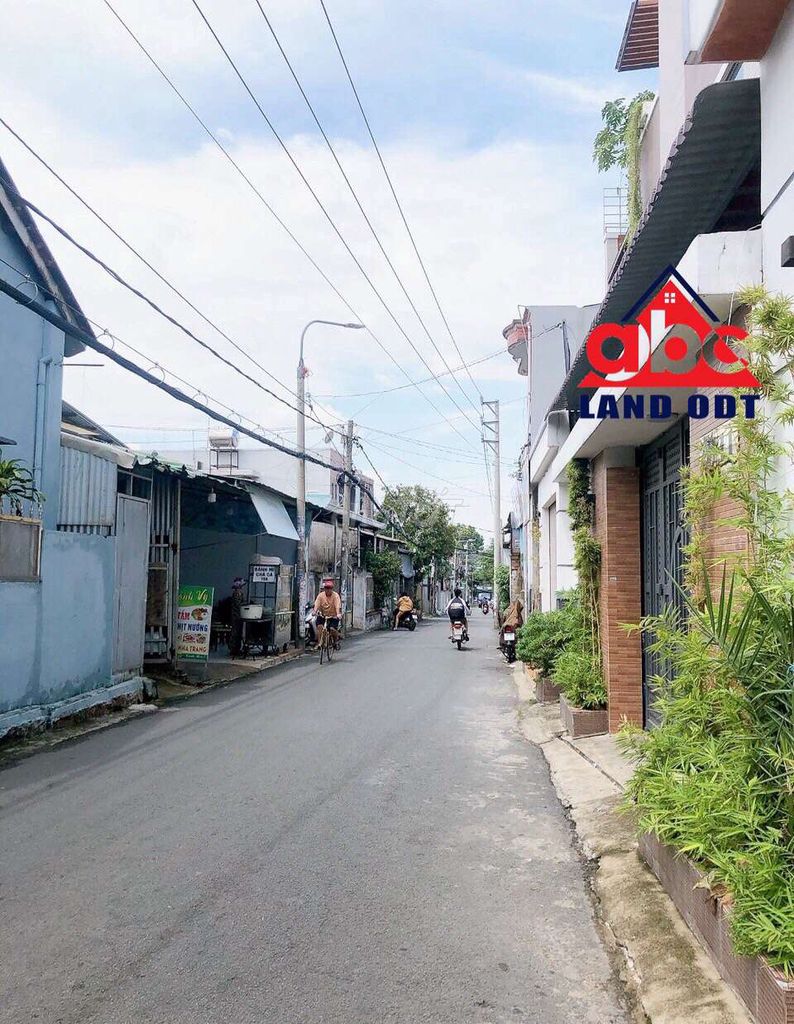 4331739 ảnh đại diện 1