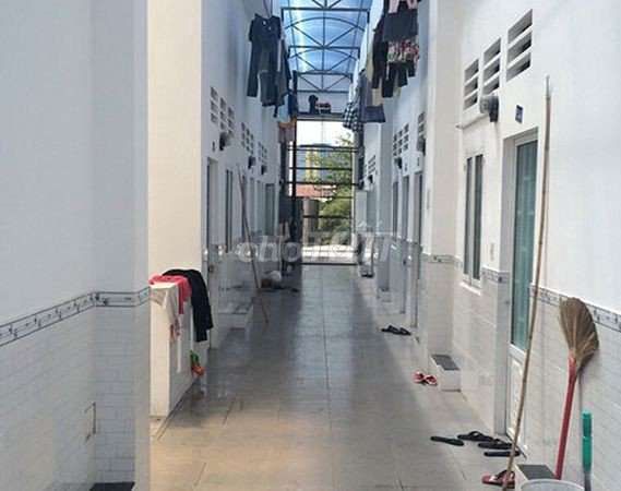 4330542 ảnh đại diện 1