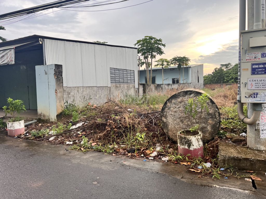 4330424 ảnh đại diện 2