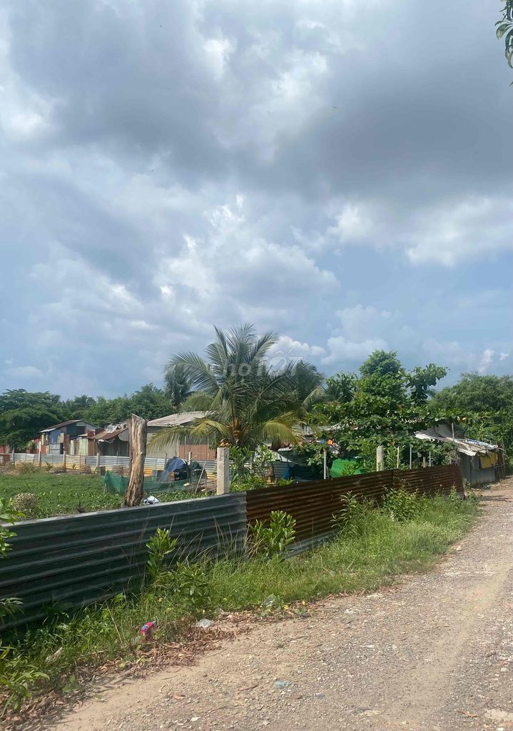4327750 ảnh đại diện 1