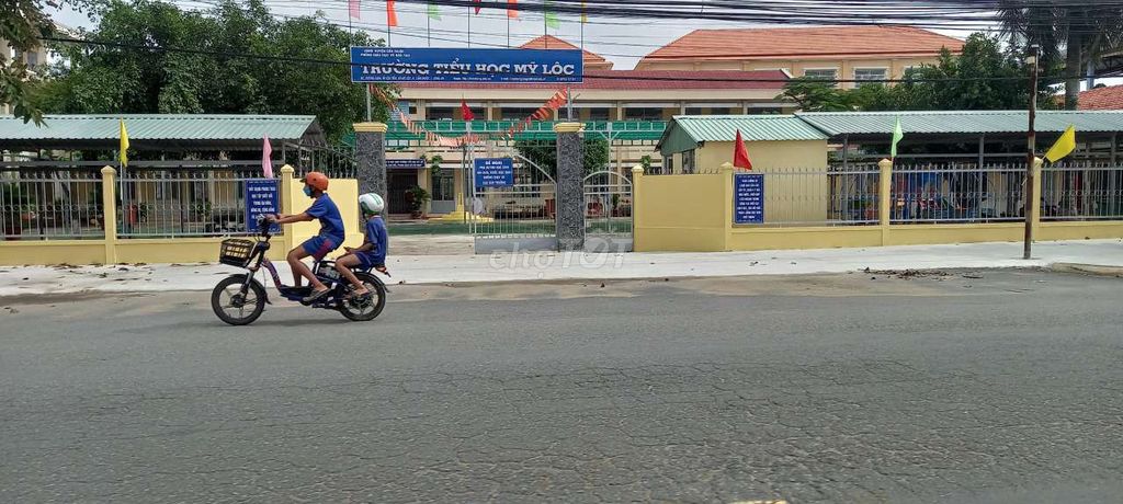 4331140 ảnh đại diện 2