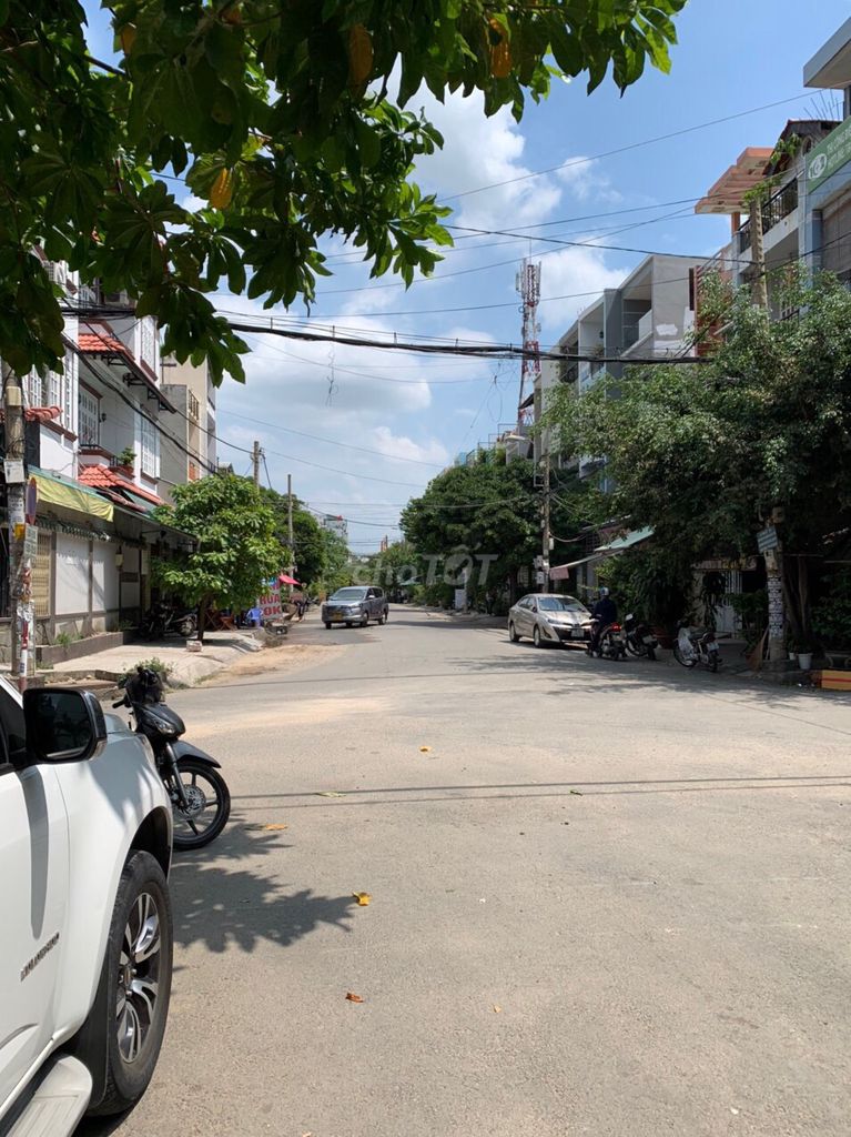 4330997 ảnh đại diện 2